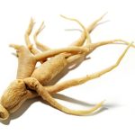 Eleuthero Root Extract