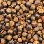 Guarana Seed Extract