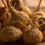 Maca Root Extract